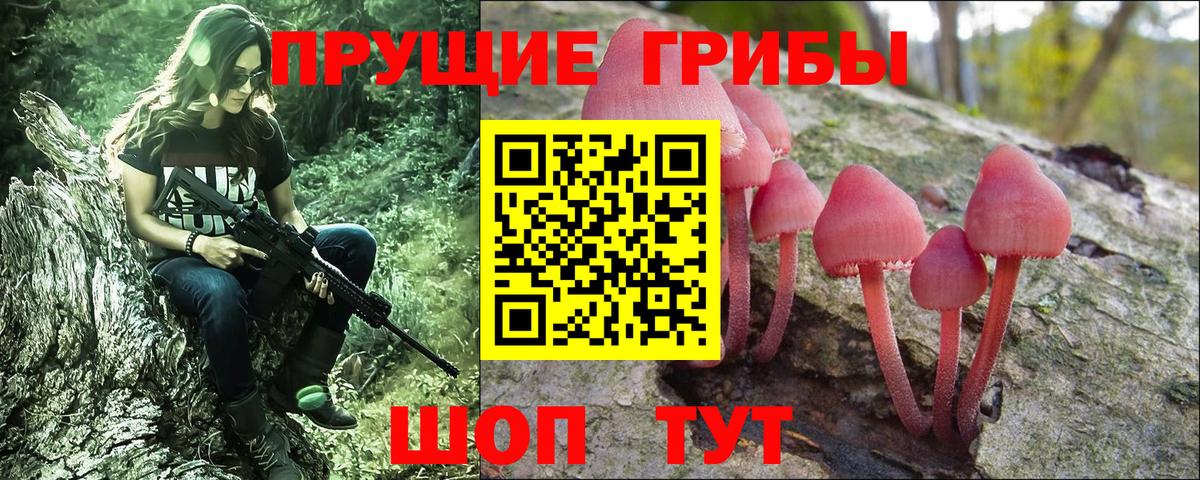 наркотики  Вход с VPN  Костомукша  Галлюциногенные грибы Psilocybine cubensis 